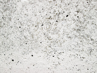 Obraz premium Light texture of an old door. Retro background for graphic design and texture mapping.