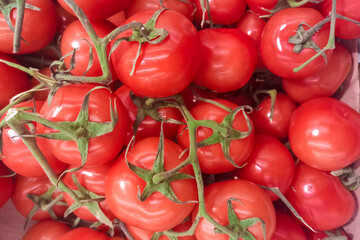 Red ripe tomatoes with a green branch. Abstract natural background from tomatoes.