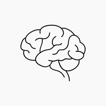 Brain and brainstorming linear black icon in isolation on white background. Human brain symbol for workflow and educatiom. Knowledge symbol, mind pictogram