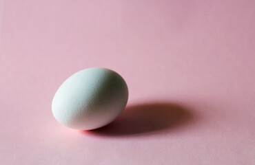 Easter concept. White egg on a pink background in pastel colors. The chicken laid the egg. Natural organic homemade products. Happy Easter card with copy space for text.