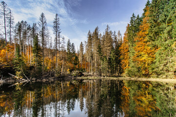 Boubin lake.Reflection of fall trees of Boubin Primeval Forest,Sumava Mountains, Czech Republic.Water reservoir Czech National Nature Reserve.Autumn tranquil colorful background.Peaceful natural scene