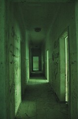 Obraz premium Halls in abandonded maternity hospital