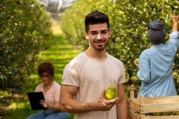 Naklejka na ściany i meble Smiling man holding pear in orchard