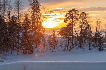 Fototapeta na wymiar Sunset. Winter seaside landscape at sea, Seurasaari. Finland. Helsinki