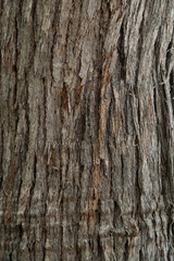 Texture