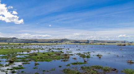 rural landscape flooded with water like a lagoon on a beautiful day with water and blue sky, vegetation and mountains in the distance