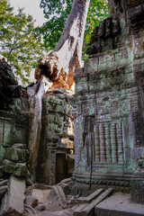 Cambodia, an abandoned city in the jungle of Angkor Wat.