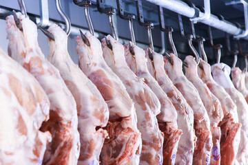 Raw porks meat hanging in a refrigerator of meat factory.