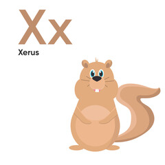 Cute Animal Alphabet Series A-Z. Vector ABC. Letter Xx. Xerus. Cartoon animals alphabet for kids. Isolated vector icons illustration. Education, baby showerchildren prints, decor, cards, books