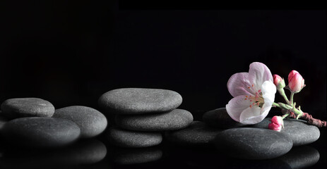 Naklejka na ściany i meble Spa stones and pink flowers on black background.