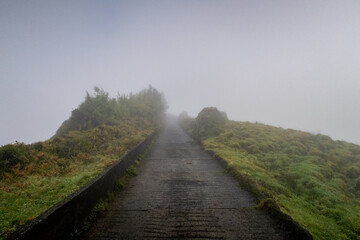 Foggy Path or Trail in a forest landscape on the azore islands portugal