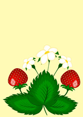 Strawberry berries on the bush - vertical illustration.
