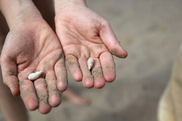 Children's hands in the sand with river shells