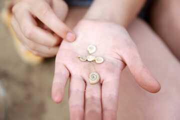 Children's hands show river finds - small seashells