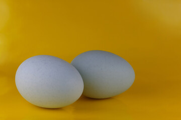 two organic, blue heirloom egg set sideways on a bright yellow background, colors of the french country kitchen, easter or french country theme with copy space