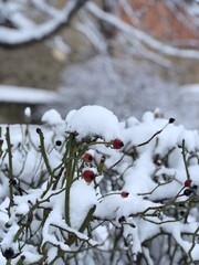 Winter incoming!