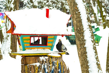 Color nesting box on a tree in the winter. birds and animals.
