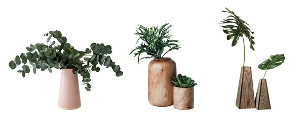 Room plants on a white background. Easy to cut out houseplant in modern pots. Collection of...