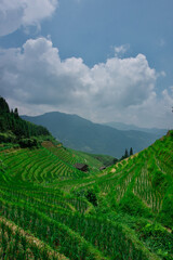 Fototapeta na wymiar Longji Rice Terraces, China. Rice fields in China. 