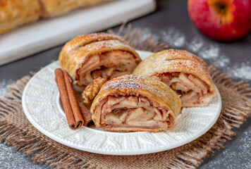 Pieces of apple strudel with raisins, nuts and cinnamon sprinkled with powdered sugar on a white plate. Dark background,  selective focus. 