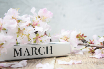 March Month and Almond Flowers on Wooden