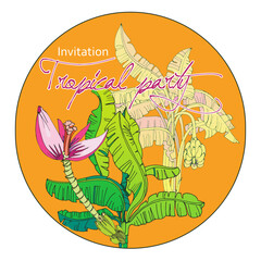 Tropical palm background