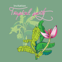 Tropical palm background