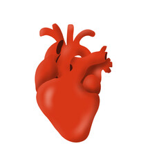 Digital hand drawn flat illustration of human heart isolated on white