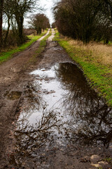 Fototapeta premium Weg