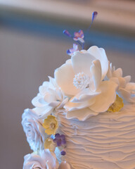Beautiful Colorful Sweet Wedding Cake Cupcake Decor Closeup Image at Event Space