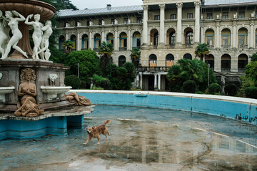 Fototapeta na wymiar Fountain with statues near ancient ancient palace. manor of the