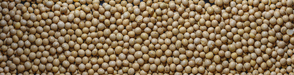 Macro of soybeans. Soybean texture panoramic background. Top view 