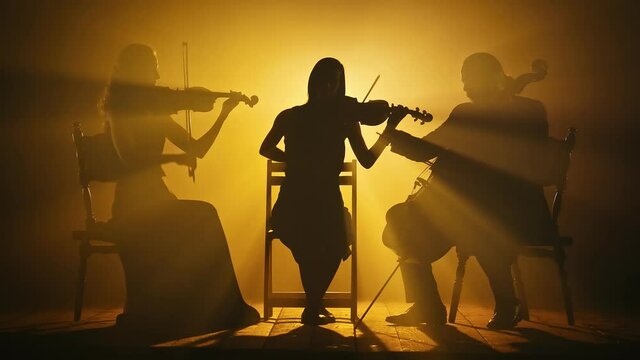 Silhouettes of Musicians. A Trio of Professional Musicians Perform Classical Works on Violin, Cello and Double Bass. The Musicians Play on Stage in a Dark Hall, in Smoke and Spotlights.