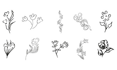 10 hand-drawn blossom wildflowers. Big collection of 10 hand-drawn roses. Big floral botanical set. Isolated on white background. Doodle simple vector collection.
