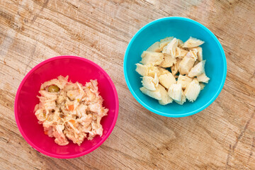 Cats nutrition concept. Different types of food for healthy feline. Comparison between raw beef, cooked chicken, canned meats and dry food. Wet or dry food? Natural or preserved food? Diet for cats.