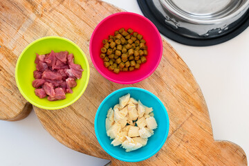 Cats nutrition concept. Different types of food for healthy feline. Comparison between raw beef, cooked chicken, canned meats and dry food. Wet or dry food? Natural or preserved food? Diet for cats.