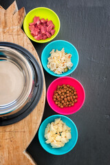 Cats nutrition concept. Different types of food for healthy feline. Comparison between raw beef, cooked chicken, canned meats and dry food. Wet or dry food? Natural or preserved food? Diet for cats.