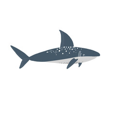 Black shark isolated on a white background. Vector hand drawn color illustration for print, textile, wrappert, poster, fabric.