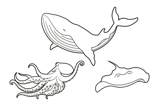 Coloring book - inhabitants of sea and ocean glebins - octopus, whale, stingray. Black and white isolated image line art, vector illustration, doodle, sketch