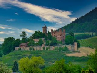 Fototapeta na wymiar Castillo de Heidelberg.
