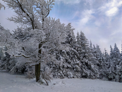 Winter landscape of polish Sowie gory. Beautiful mountain area in central Sudeten, Poland