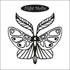 Fototapeta na wymiar vector line drawing of night moth, black and white