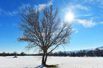 a nice snowy landscape with blue sky