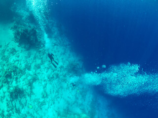 Fototapeta na wymiar Divers sank to the bottom of the red sea