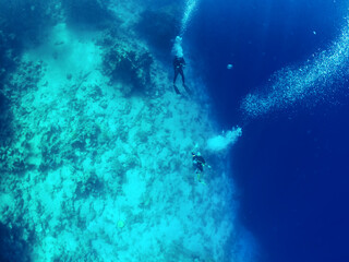 Divers sank to the bottom of the red sea