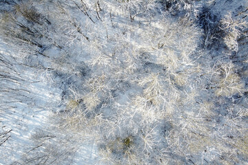 Winter landscape with birch trees covered hoarfrost, aerial view