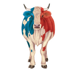 vache laitière, bleu blanc, rouge, drapeau, française,  animal, bétail, ferme, blanc, taureau, isolé, agriculture, mollet, mammifère, bétail, brun, boeuf, gazon, champ, alpage, prairie, domestique,  n