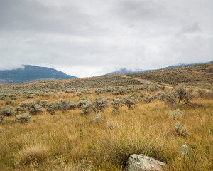 Landscape shot of grasslands with road and cloudy sky