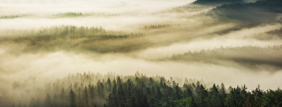 Fototapeta Morning fog flowing over hills covered by fog