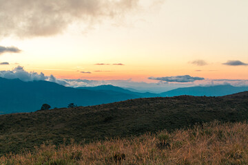 Frailejones guerreros del tiempo en tierra de nubes 

Vistas del paramo y El Nevado de El Cocuy y Güicán Boyacá en un vallé de frailejones un poco de conciencia
de protección a estos lugares su Fauna 
